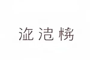 《灰阶真相》封面：从灰到白的渐变色阶条