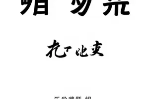 《长街灯火》剧集封面：夜色中的老街路灯