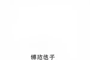 《误读的一帧》封面：被放大框选的单帧画面